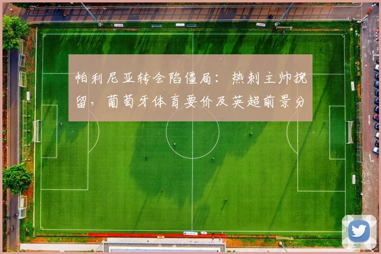 帕利尼亚转会陷僵局:热刺主帅挽留,葡萄牙体育要价及英超前景分析