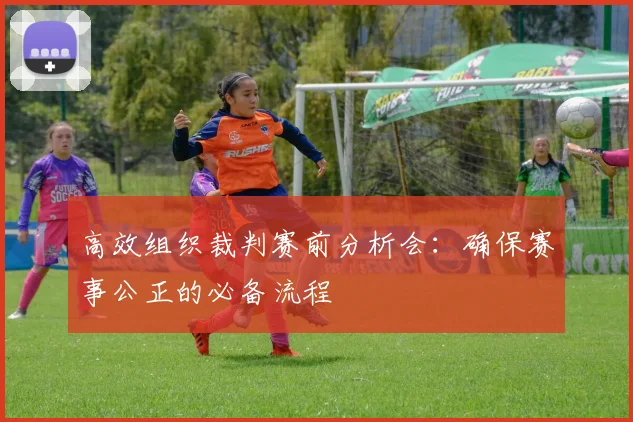 高效组织裁判赛前分析会:确保赛事公正的必备流程